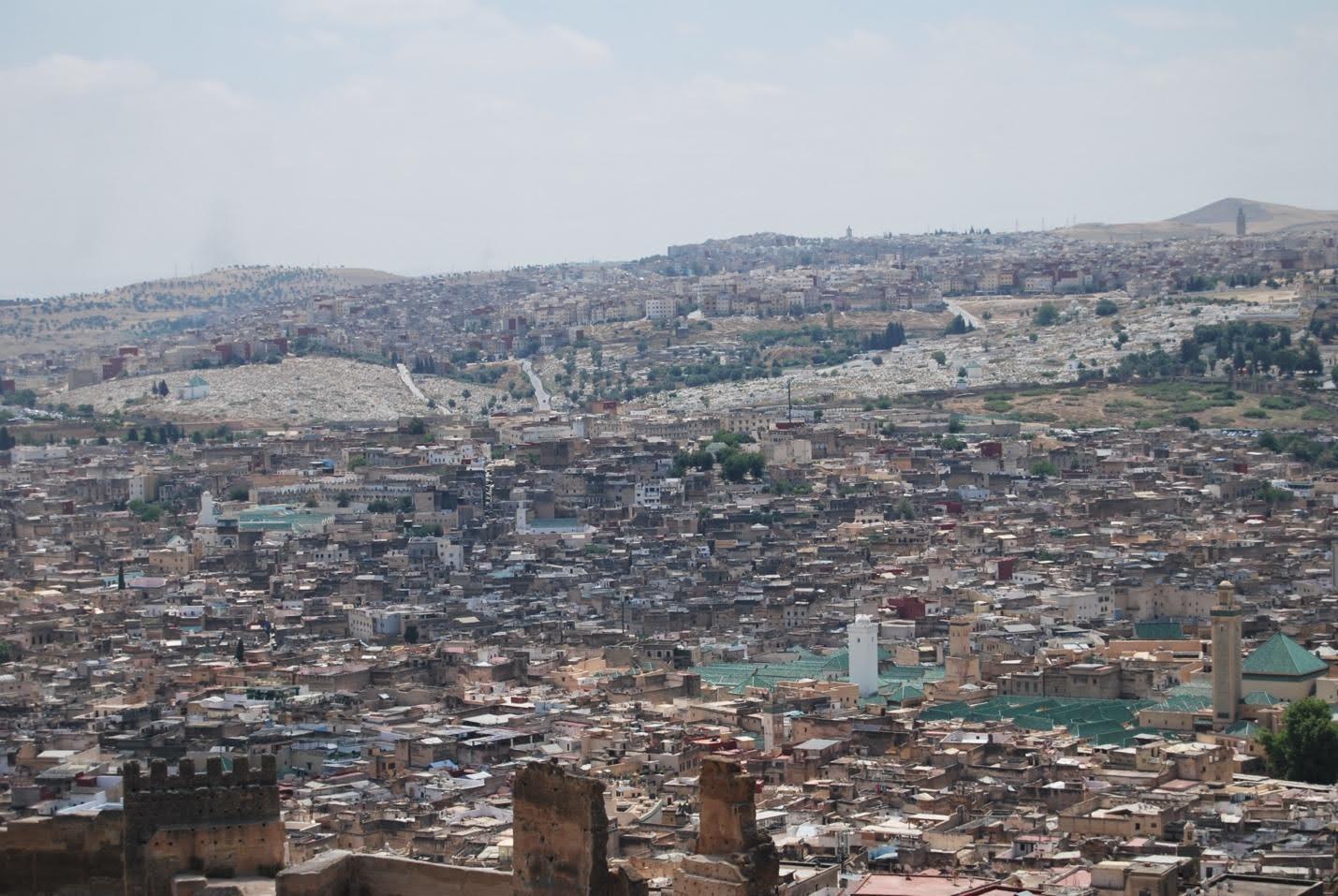 The intricate urban fabric of Fes, viewed from the Merinide Necropole.