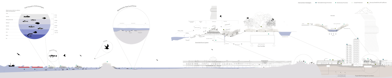 image 2 of spatialization of the design principles applied to the city and port scales. Source: NXR-2024.