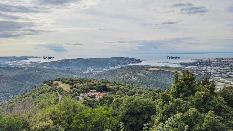 Planning Ports in Proximity: Navigating the Peculiar Case of Koper and Trieste