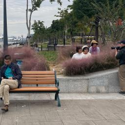 Shanghai’s new waterfront: economic engine or inclusive public space?